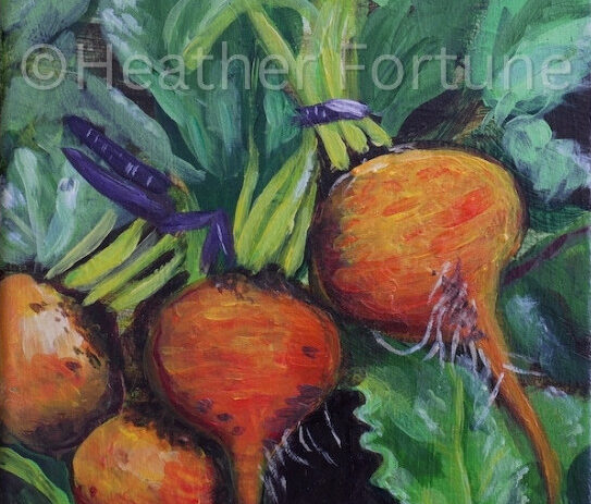 original painting, Beets on canvas, by Heather Fortune, heather fortune art, heatherfortune, heatherfortuneart, artist, painter, painting, original art, original paintings, original artist, us artist, paint collections, for sale, buy art, buy original art, oregon artist, oregon, usa